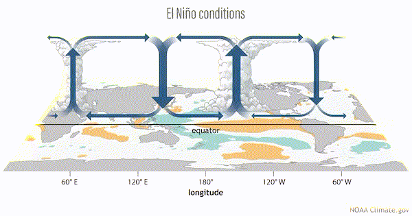 Animated GIF showing El Niño, the engine driving tropical circulation, as it shifts to the east.