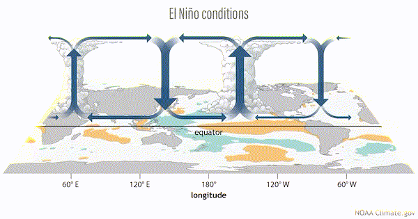 What is a strong El Niño? Meteorologists anticipate a big impact in ...