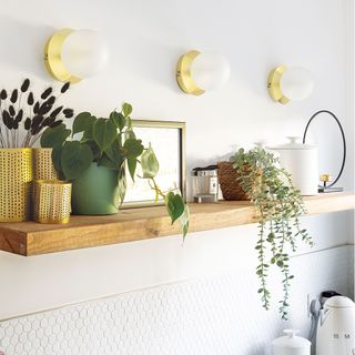 white kitchen wall with wooden shelf and plants