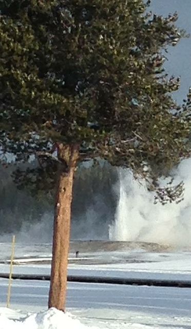 Giantess geyser erupting