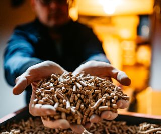 close up of man's hands holding wooden pellets which are biomass fuel