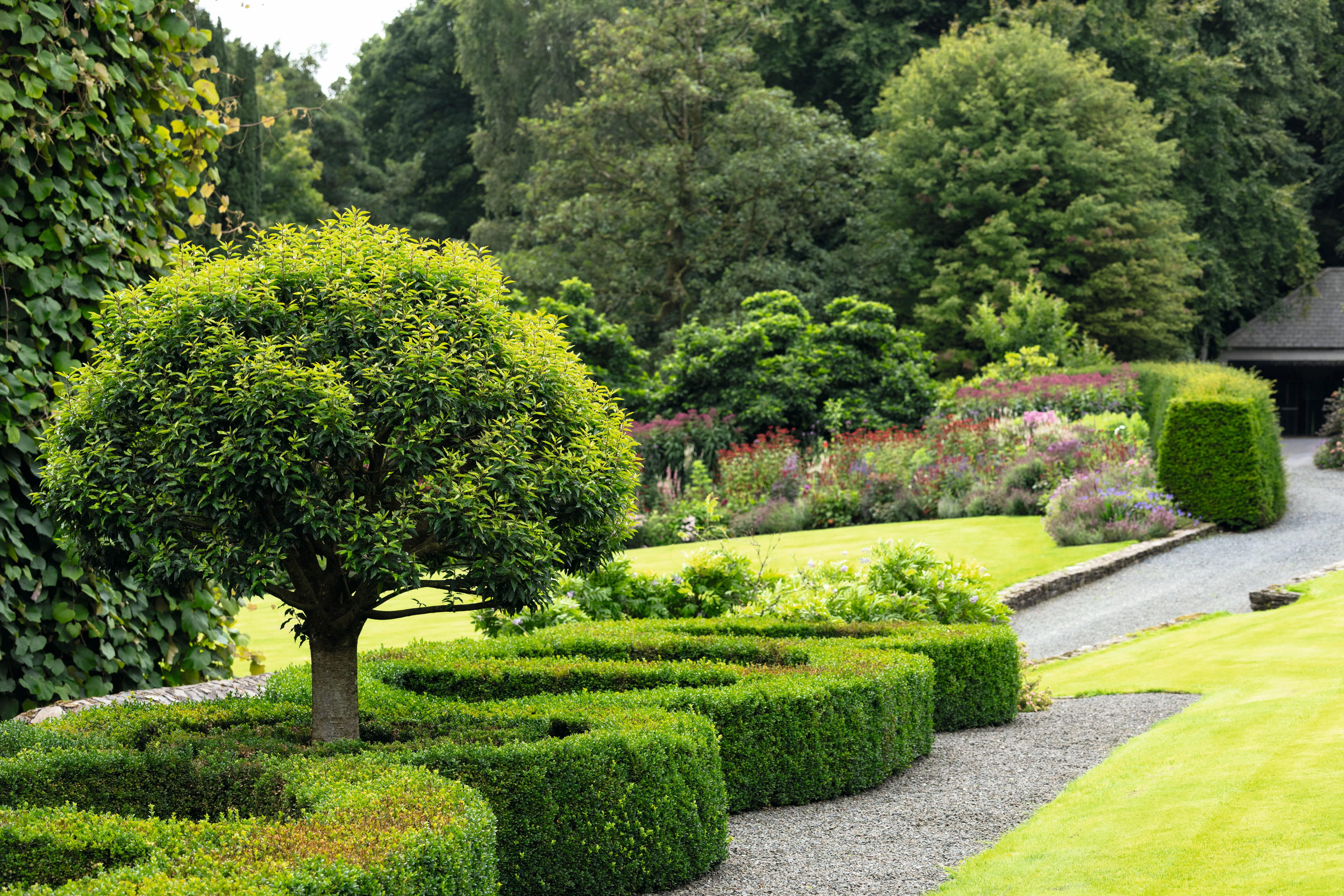 The garden at Ballynure House