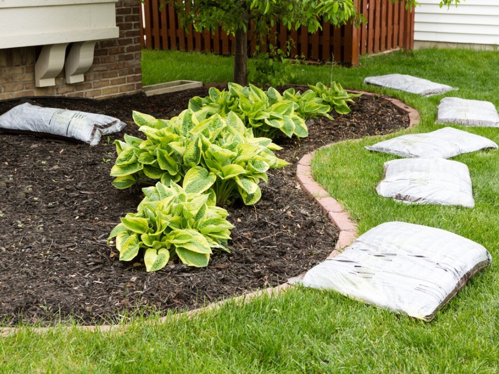 Organic SOIL Complete - 1 Cubic Yard Tote (Equal to 27 bags!)