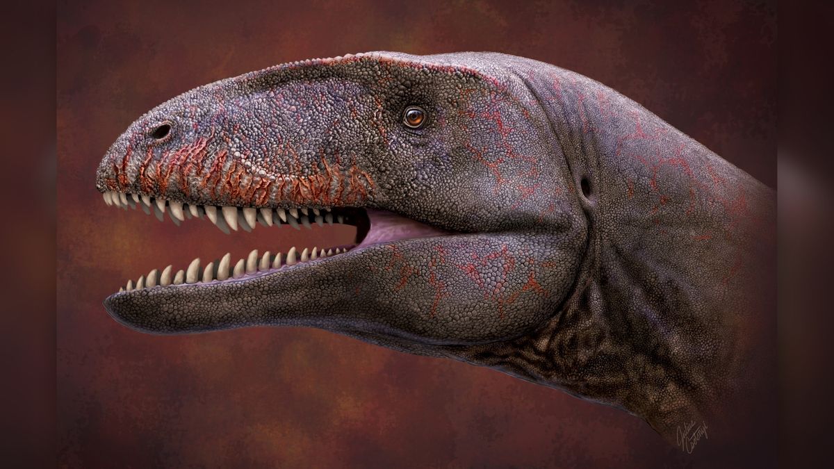 Gigantic 'shark-toothed' dinosaur discovered in Uzbekistan