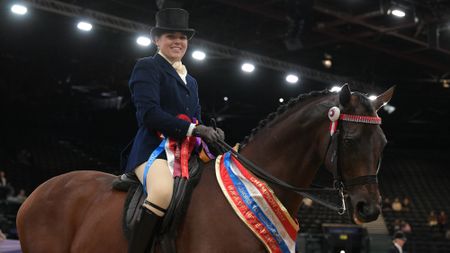 Smaller-HOYS-2025-photo-of-R2R-winner-e1775570960112.jpg