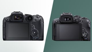 The Canon EOS R10 and Canon EOS R70 from behind showing the viewfinder screens on green backgrounds