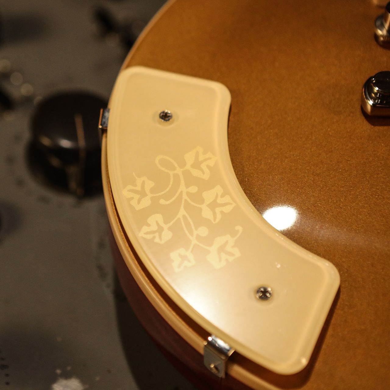 Photos showing details of the Gibson Mary Ford Les Paul Standard