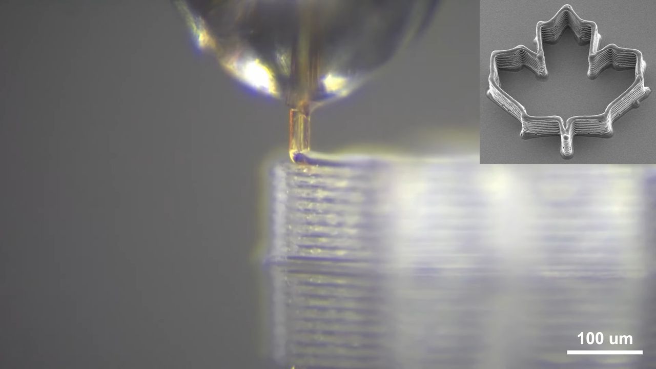 Dead mosquito proboscis used for high-resolution 3D printing nozzle