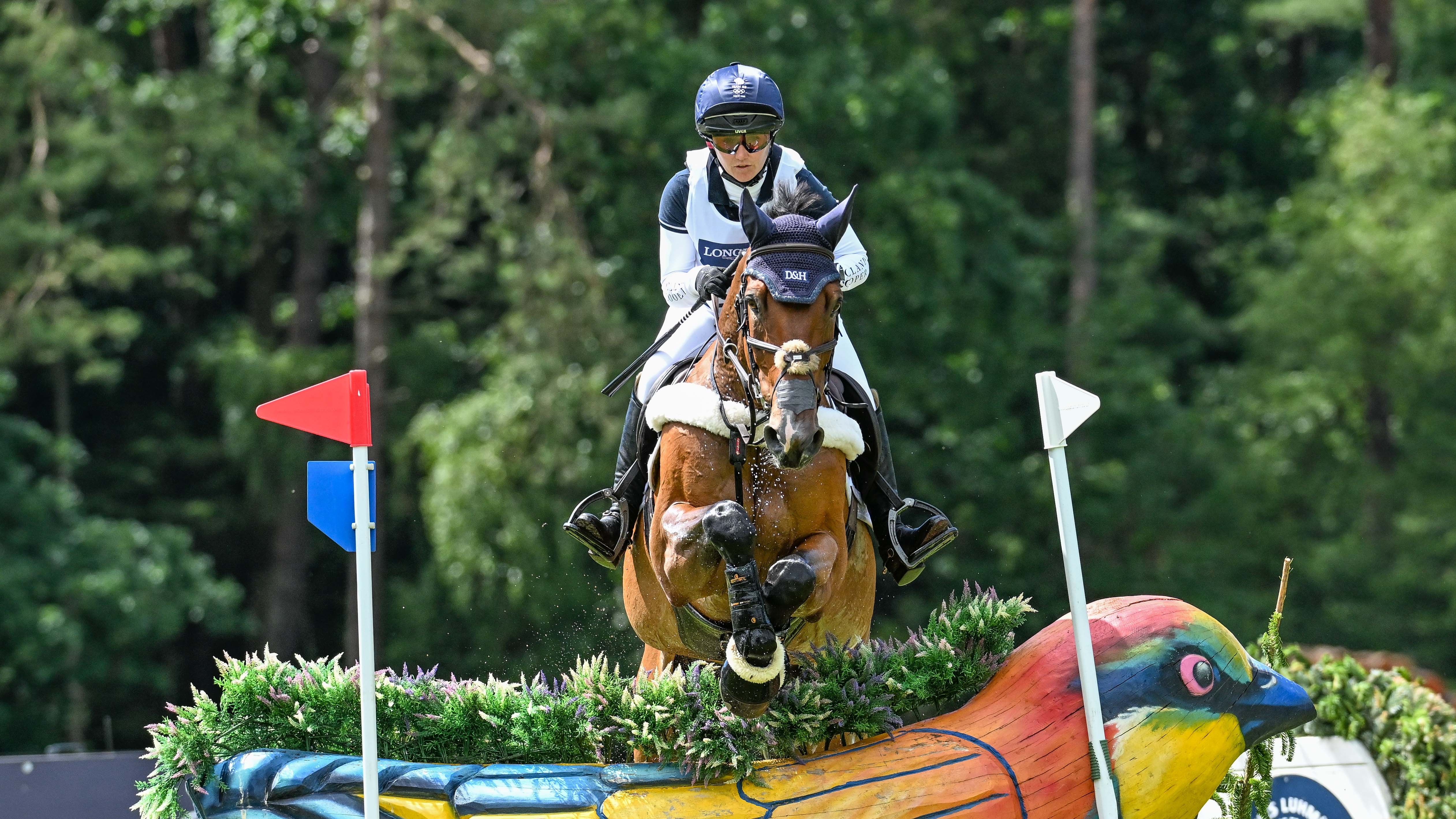 Laura Collett has withdrawn London 52 (pictured) from the final phase at Luhm&amp;uuml;hlen Horse Trials after he sustained a minor injury.
