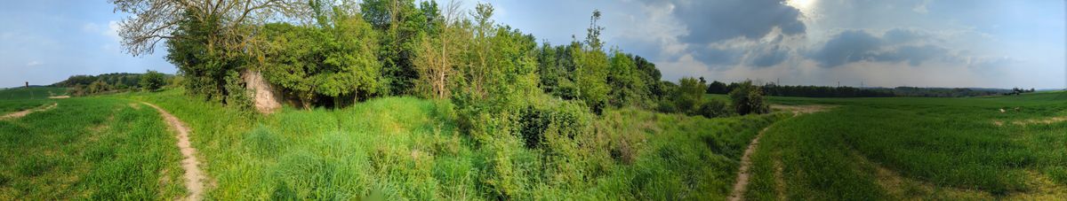 200 photos google pixel 8a vs google pixel 6 pro