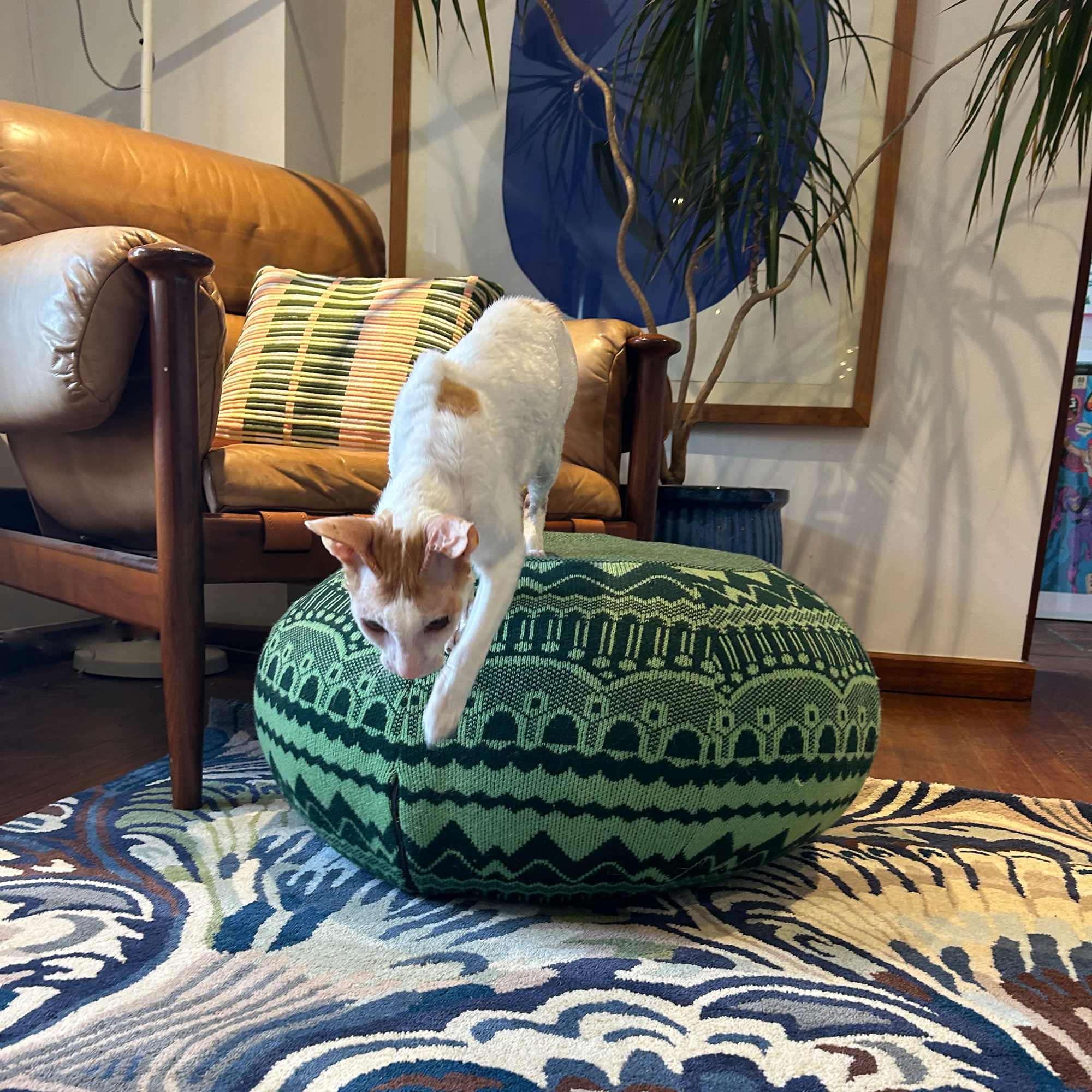Cat jumping off patterned green pouffe onto blue marbled rug
