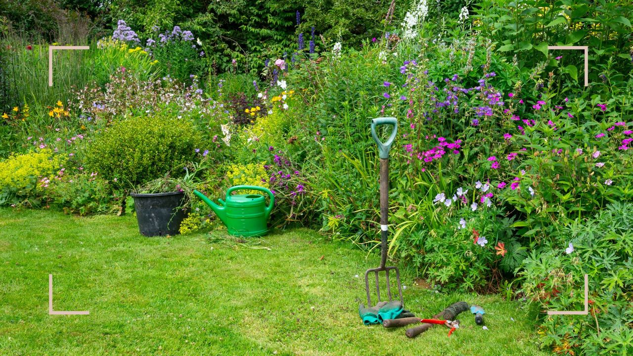 summer garden with flower beds filled with perennials to support an expert tip to enjoy a second summer flush from perennials