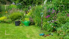 summer garden with flower beds filled with perennials