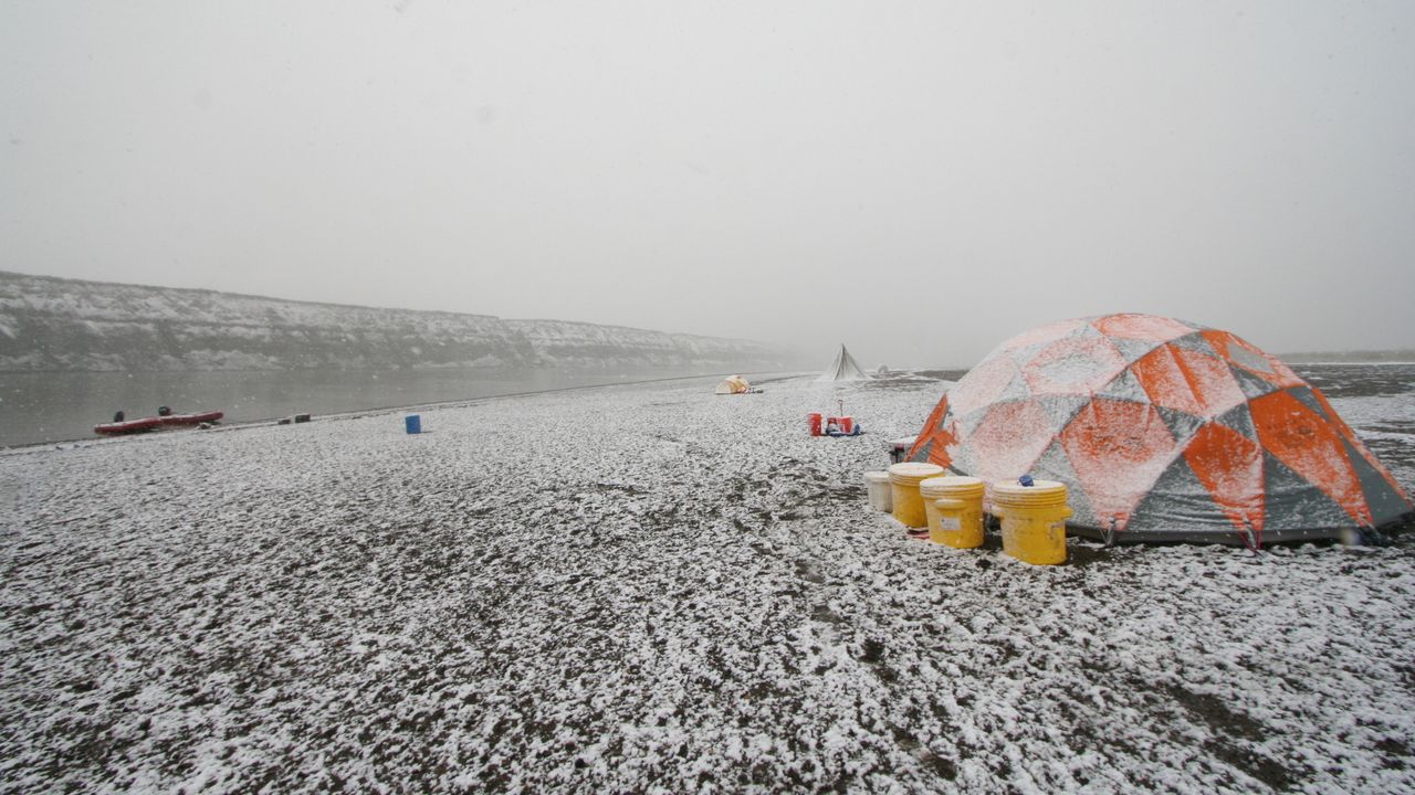 Just like the Cretaceous-age dinosaurs that lived in what is now the Alaskan Arctic, the researchers there encountered snowy weather.