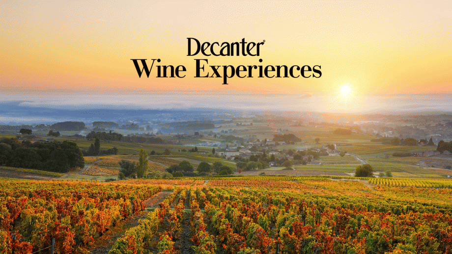 Rhone valley wine tour 2024