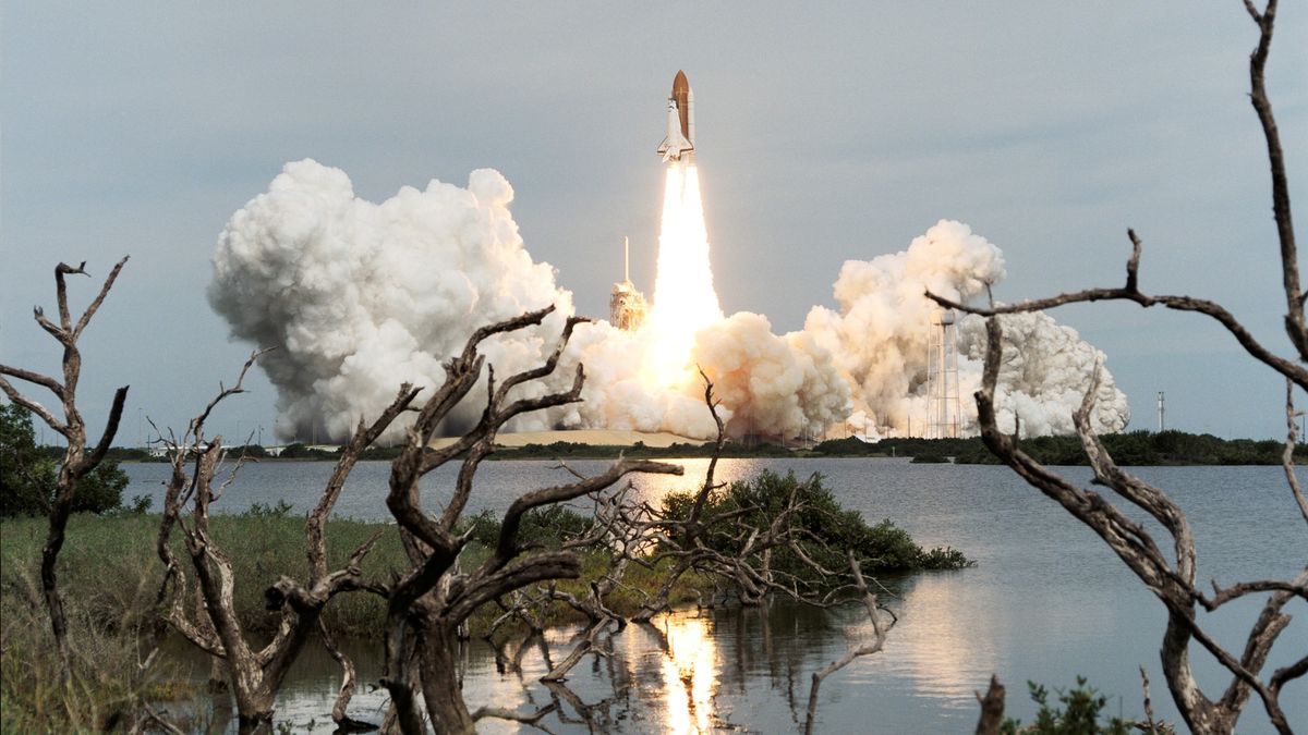 a space shuttle launches in the distance with large plumes of smoke on either side. The foreground shows flora near a body of water, which reflects the rocket engine flames.
