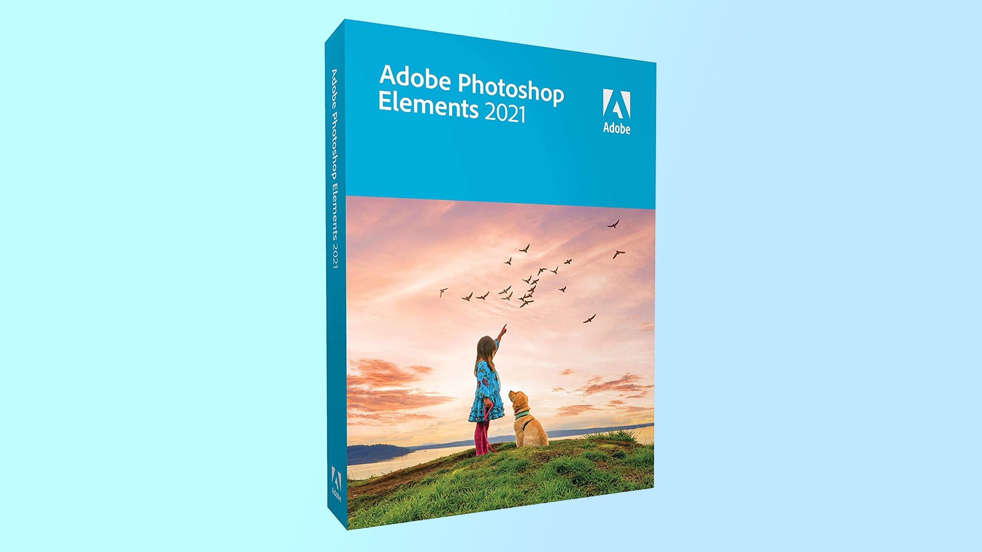 best photo editing software — Adobe Photoshop Elements 2021