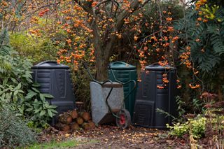 Garden compost bins under a crab apple tree with logs and a wheel barrow. A typical English country garden scene.