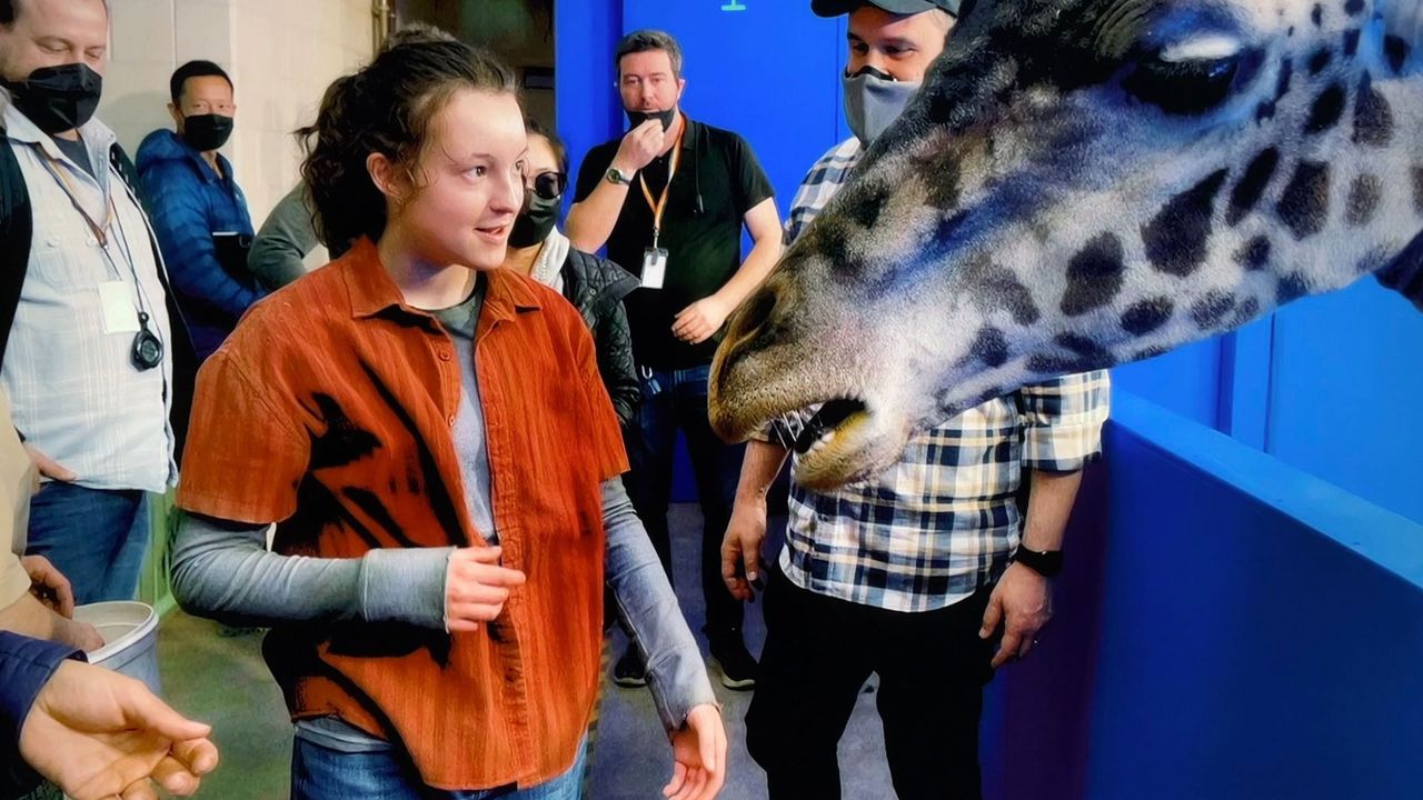 A shot of actor Bella Ramsey stood with a giraffe