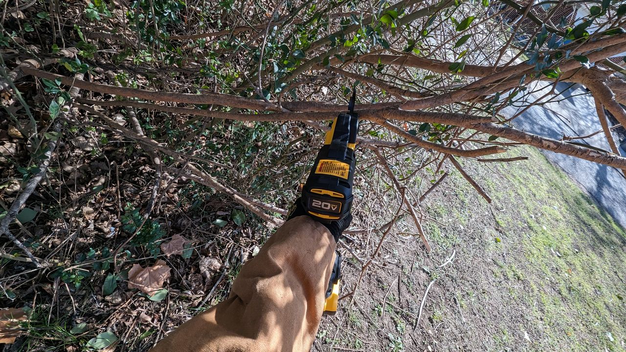 DeWalt 20V MAX Cordless Battery Powered Pruner