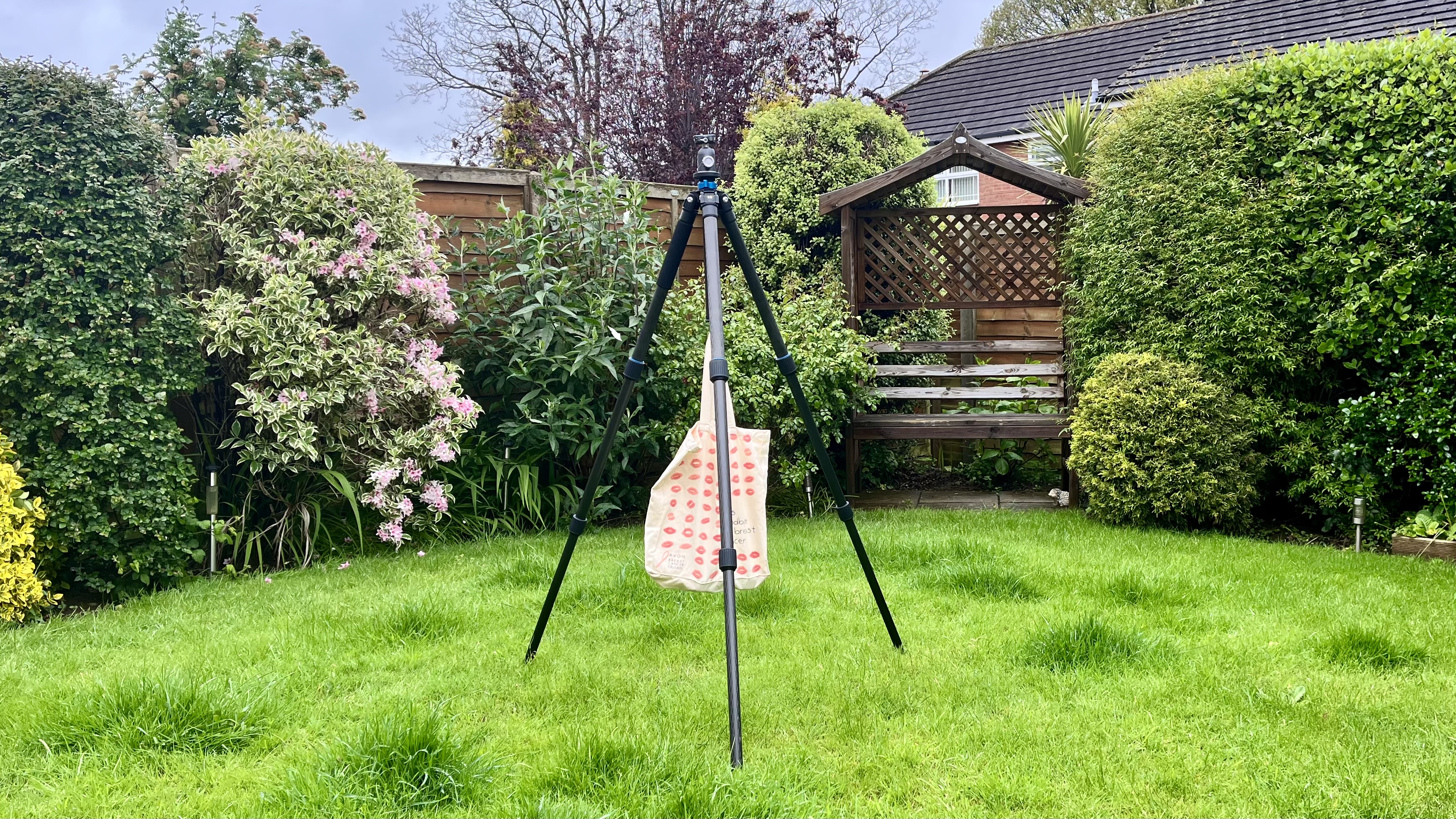 Benro Mach3 in a garden