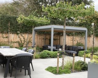 small garden with pergola and sofas, dining set and clipped topiary