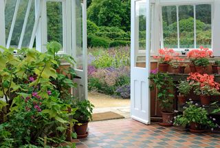 The garden at Scampston Hall. ©Val Corbett/Country Life Picture Library