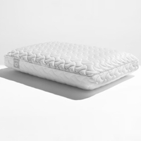 1. Tempur-Pedic Tempur-Cloud Pillow:$89 at Tempur-Pedic