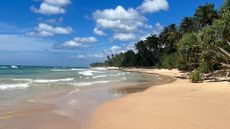 Beach in Sri Lanka