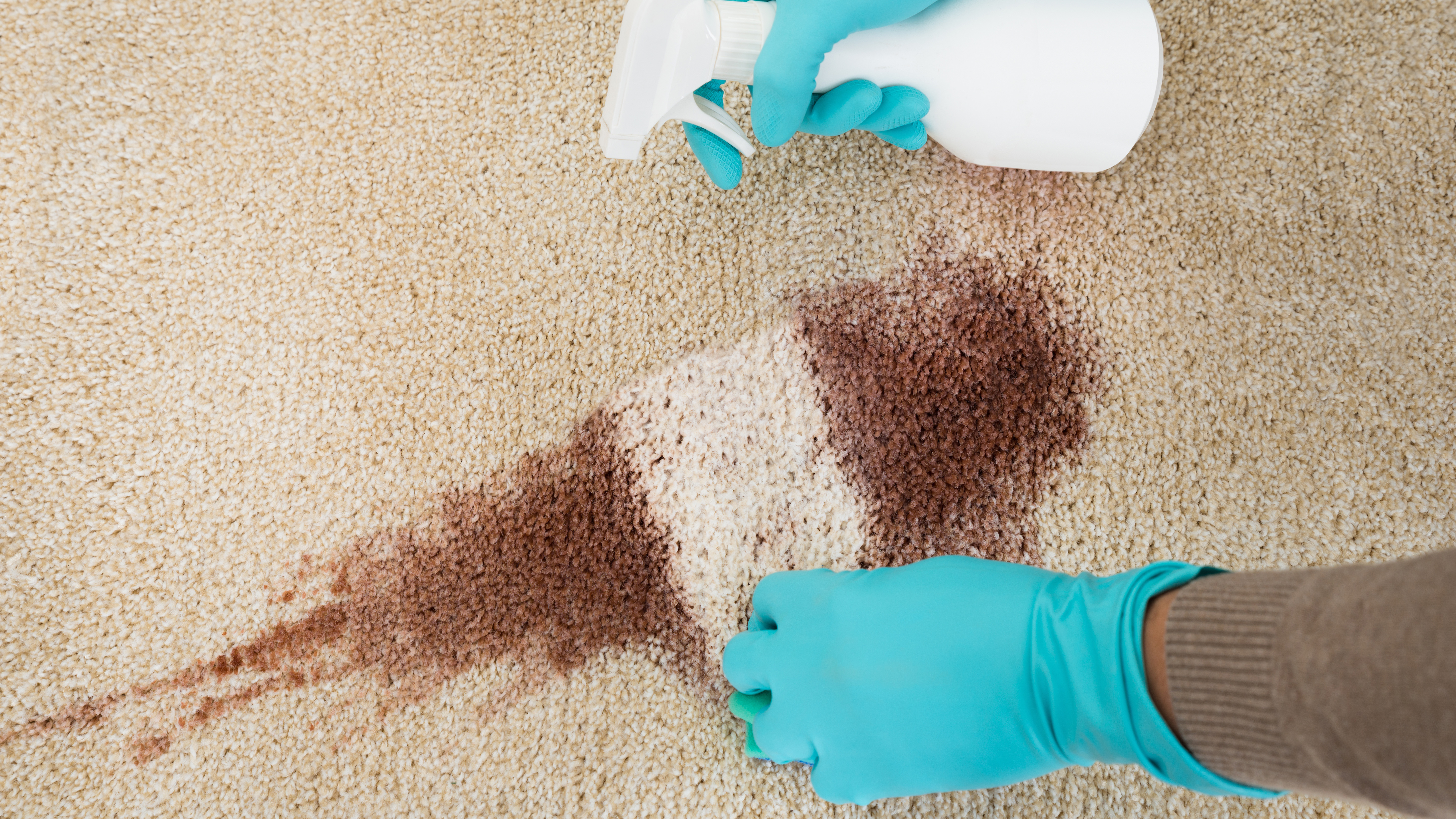 Baking soda on carpet stains