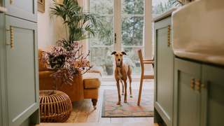 Kitchen with soft furnishings