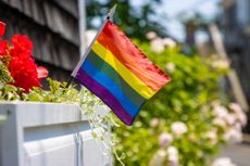 An LGBTQ gay pride flag planted in a window flower box outside a home.