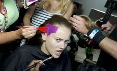 Shocked model having purple hair dye applied to her hair