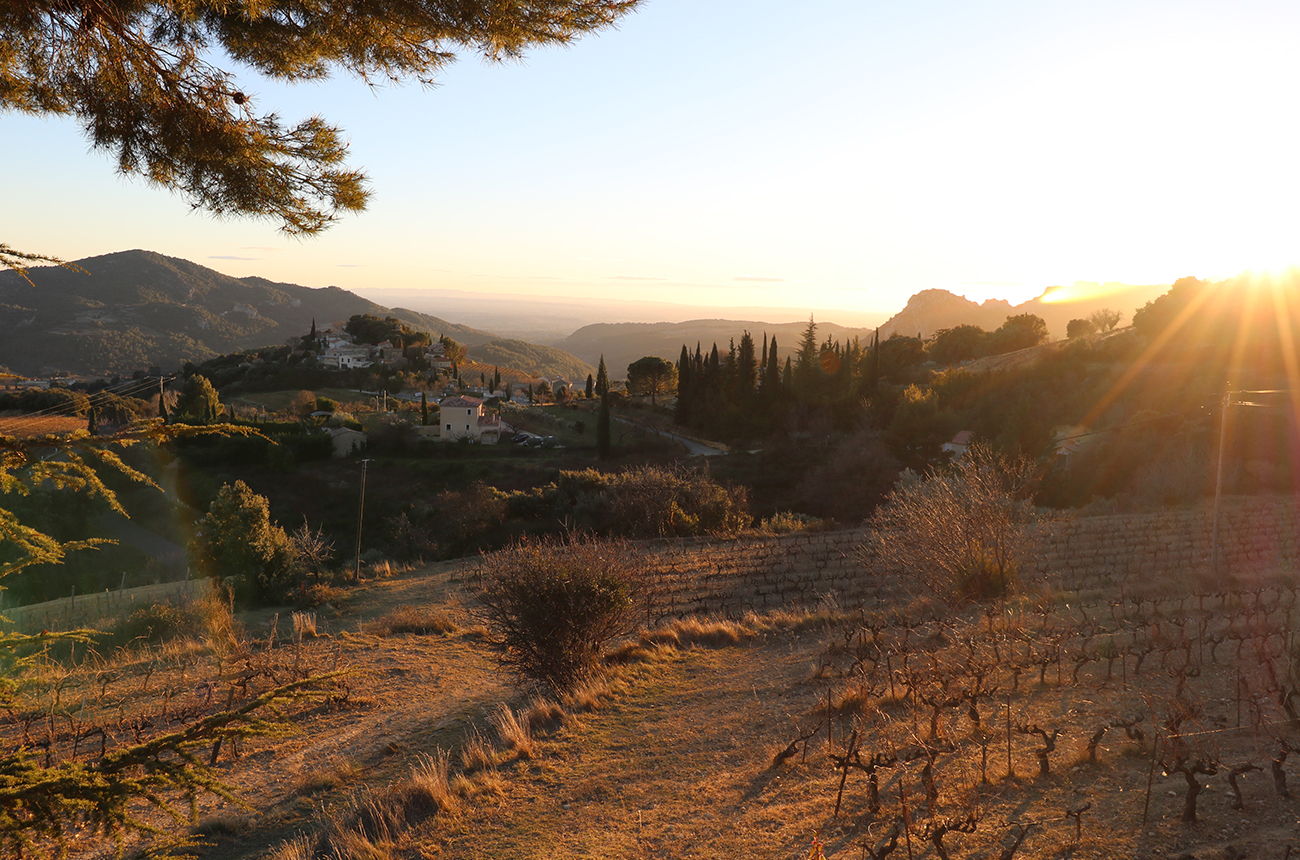 Domaine La Ferme St-Martin