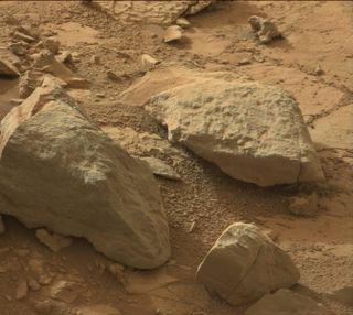 Mars 'Lizard' Photographed by Curiosity Rover