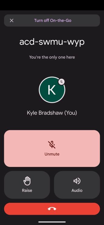 Google Meet on the go mode interface