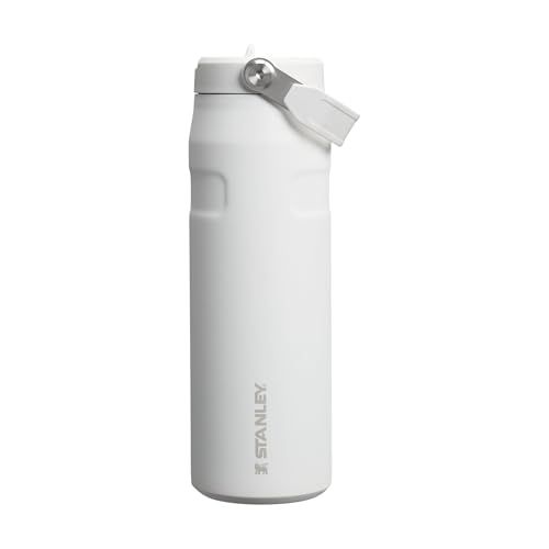 Stanley Cold Water Bottle With Straw 