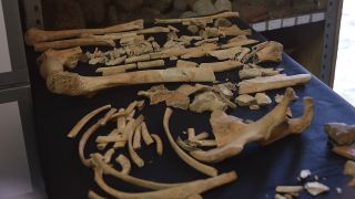 Women and children who tried to hide were murdered and mutilated, archaeologists learned from bones.