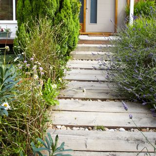 wooden pathway with stone and white flower