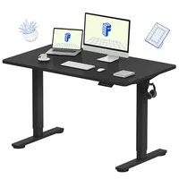 FlexiSpot EN1 standing desk
