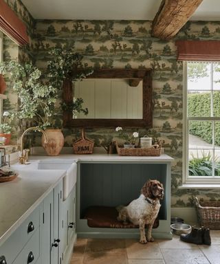 Country boot room with dog bed and spaniel