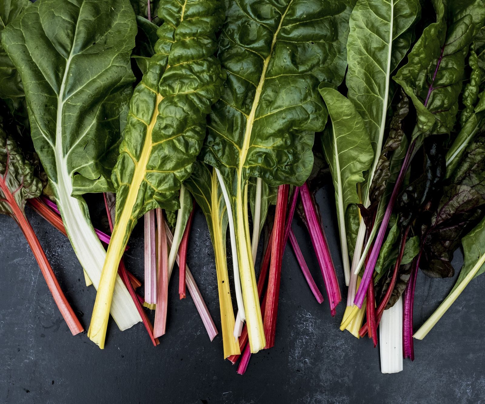 Color Chard How to harvest Swiss chard: expert tips to keep it growing | Homes and ...