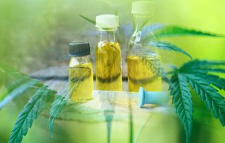 cbd oil hemp products cannabis leaf aromatherapy herbal oil bottles background / Marijuana plant essential oils natural and organic minimalist lifesty