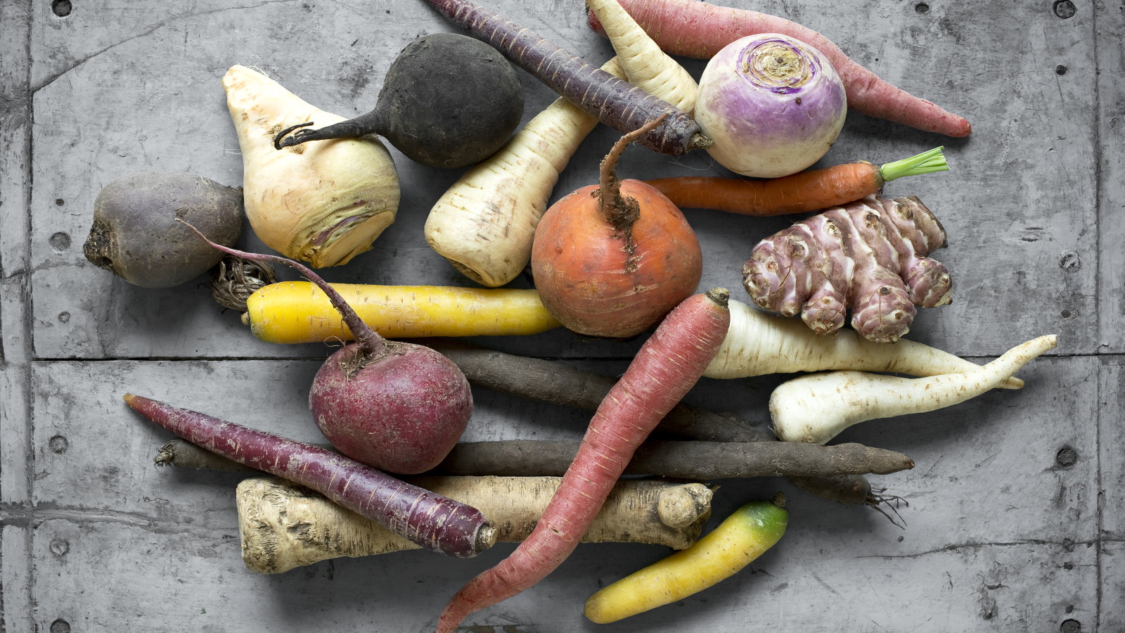A selection of raw winter root vegetables, including carrots, parsnips, turnips, rutabaga, and Jerusalem artichoke, on a grey slate background