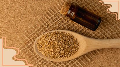 A wooden spoon with mustard seeds and a glass bottle of mustard oil for hair