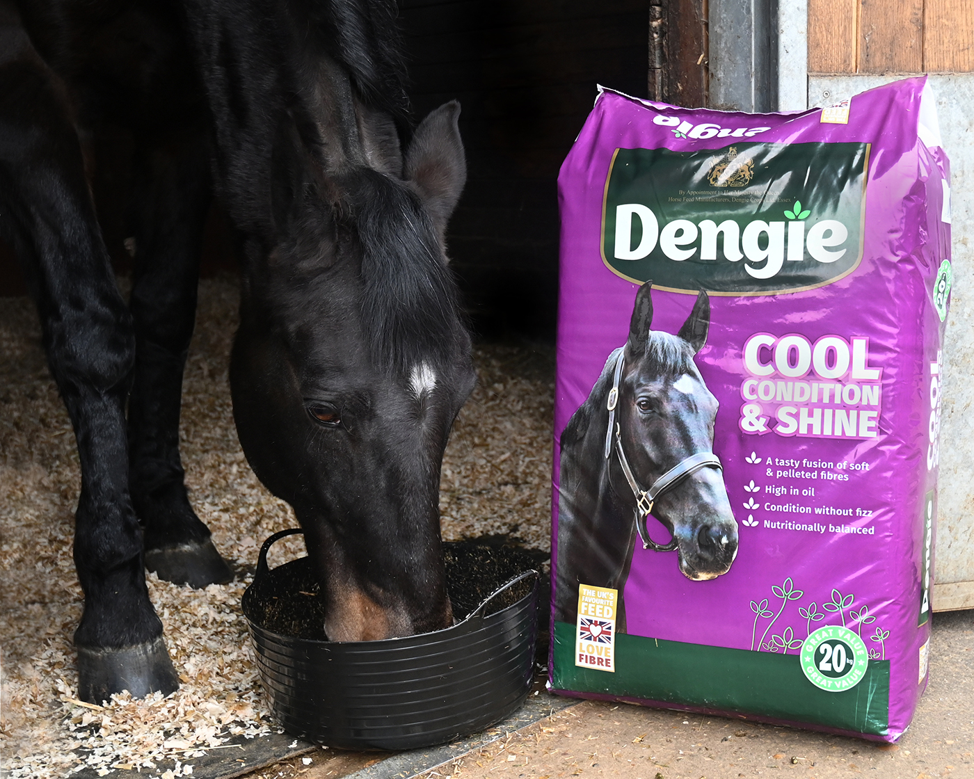 dengie-cool-condition-shine