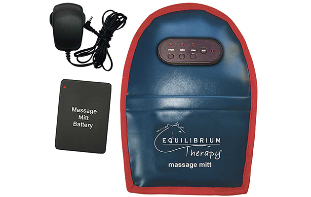 Equilibrium Therapy Massage Mitt