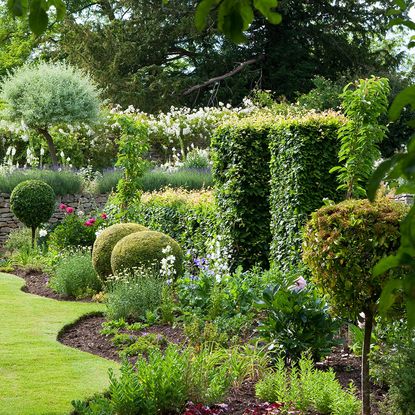 Jobs to do in the garden in June | Ideal Home