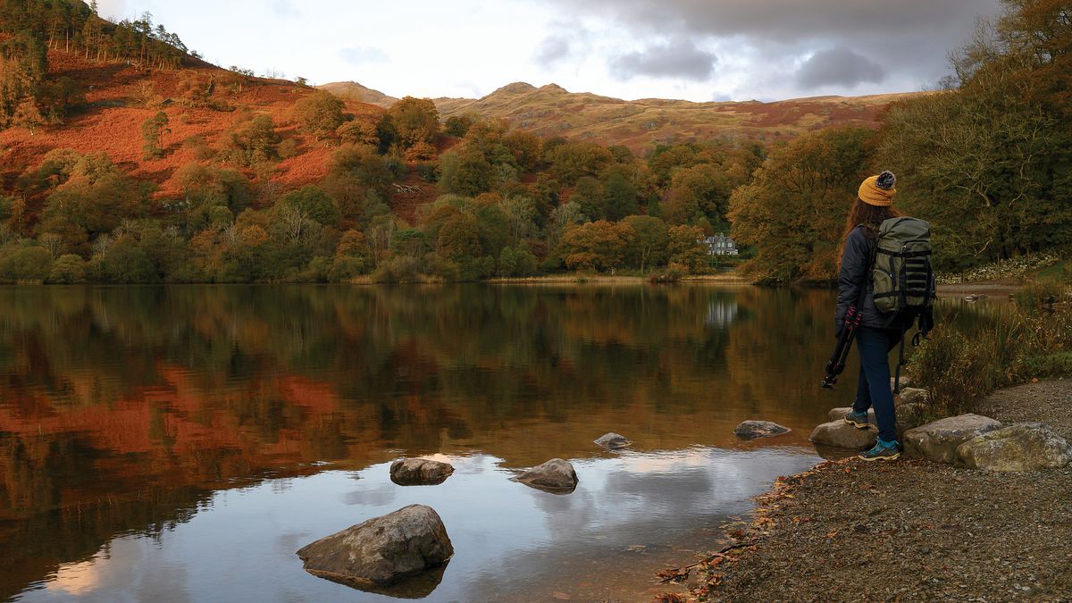 Woman stands at edge of lake, overlooking autumnal forest 