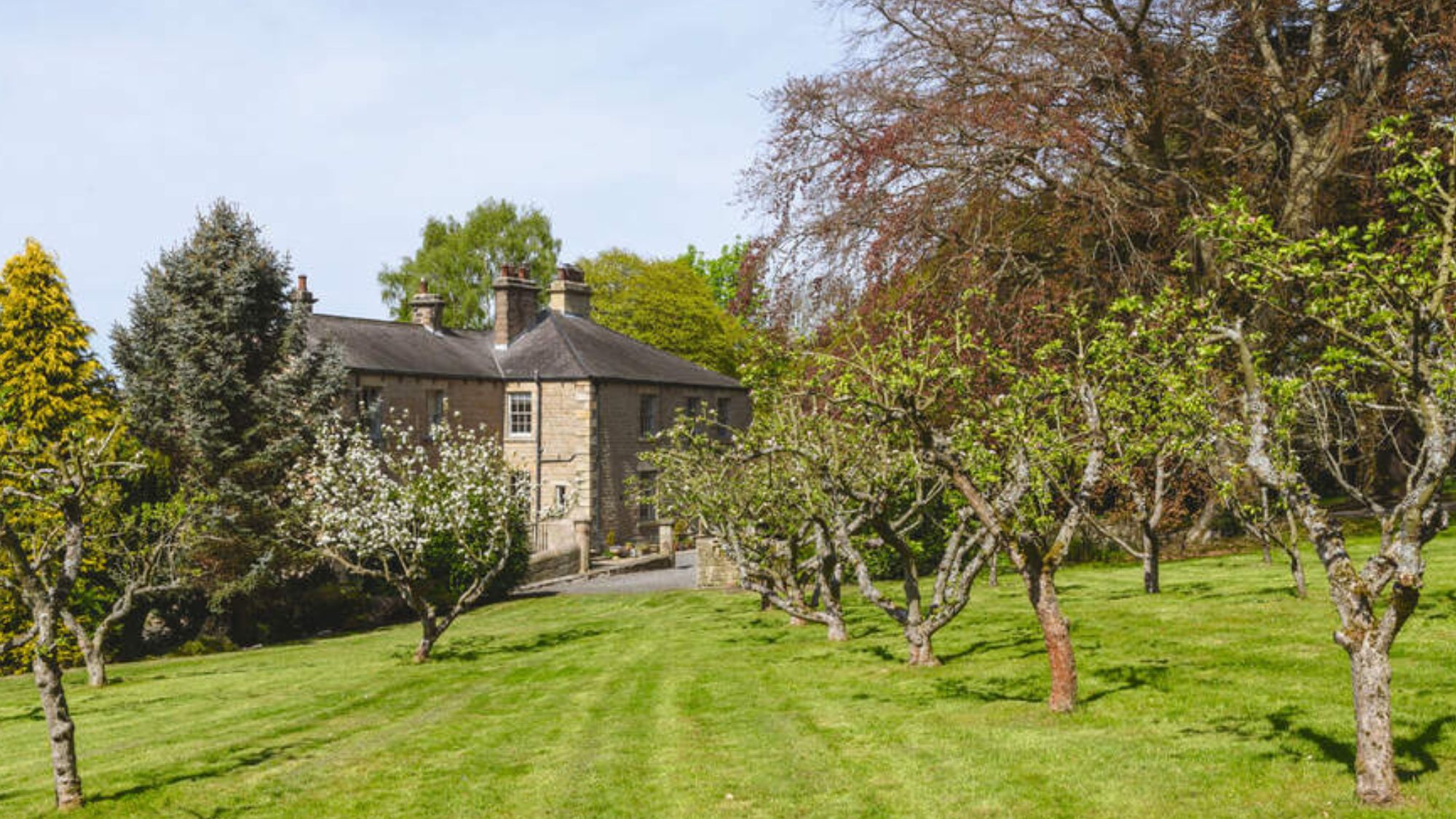 Ebchester property with orchard